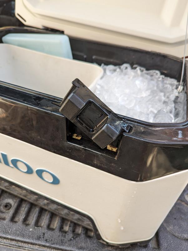 Photo - commentaire&nbsp;2.