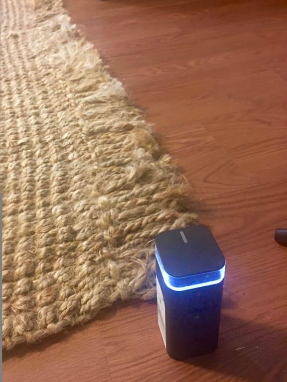 Virtual Wall Barrier - Saving our jute rug tassels!