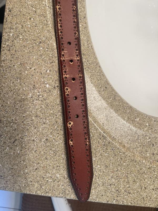 Review Thumbnail Image 0 360964995