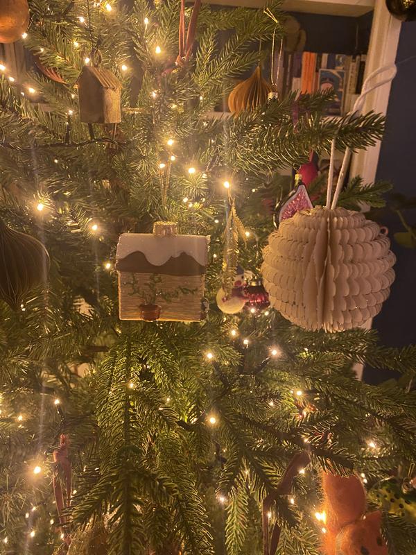 User generated review image 2