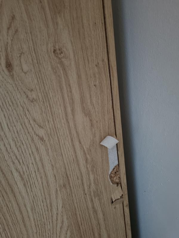 User generated review image 2