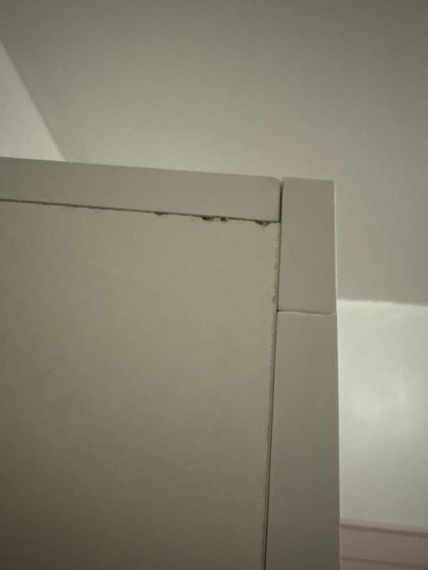 User generated review image 1