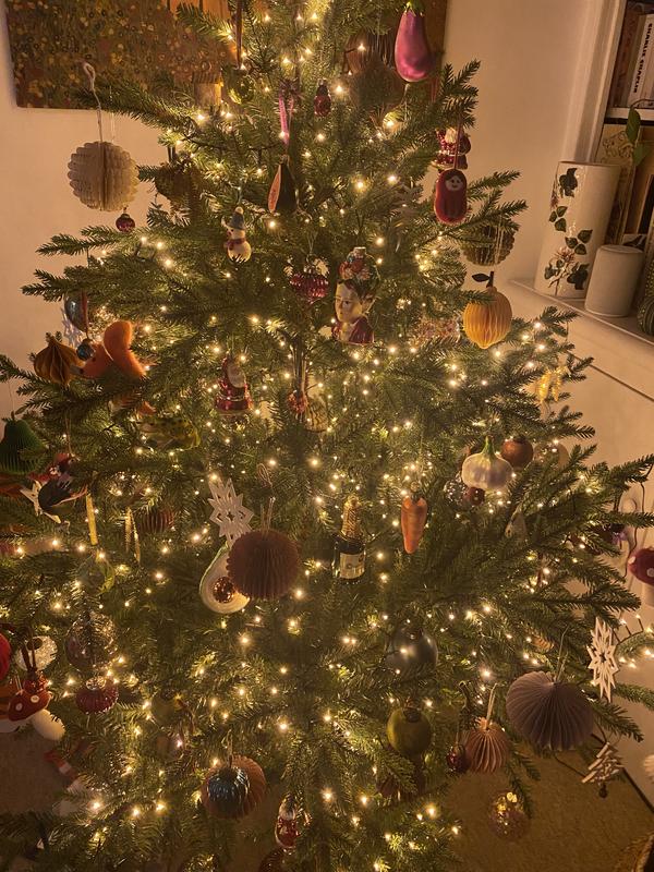 User generated review image 1