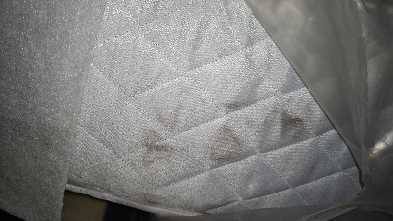 User generated review image 1