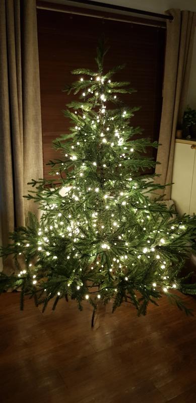 User generated review image 3