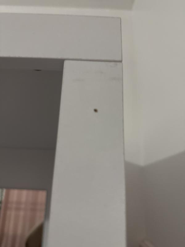 User generated review image 2