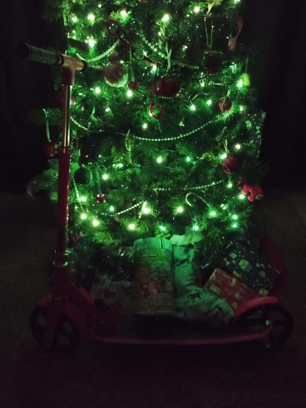 Photo submitted with review of product