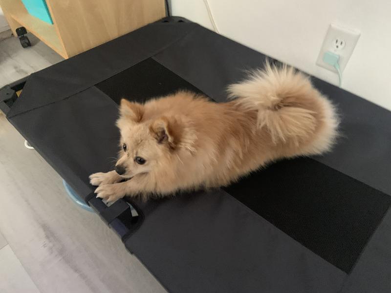 Him protecting his bed!