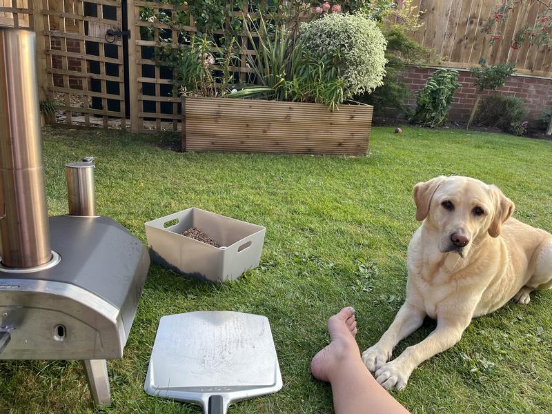 Revisione aperta modale 2 su 2