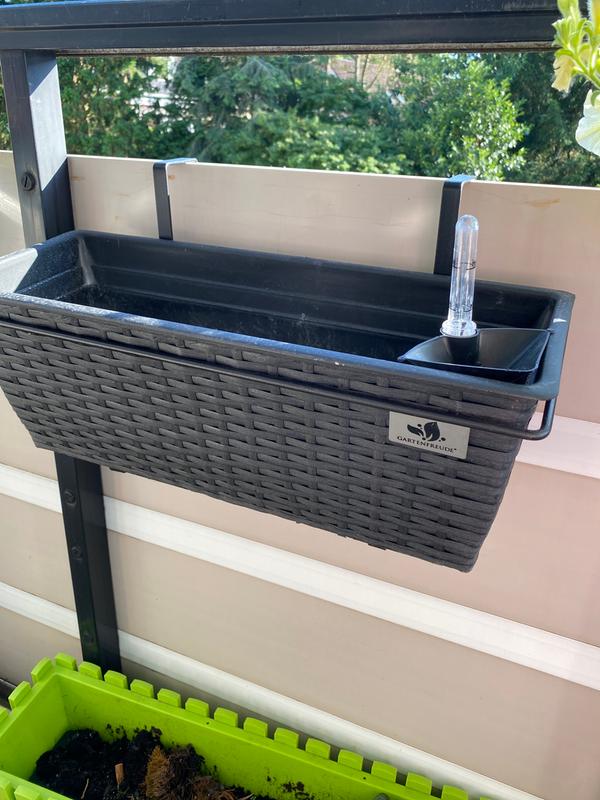 OBI cm bei 19 Balkonkasten kaufen cm Cappuccino Gartenfreude Bewässerungssystem mit 50 x