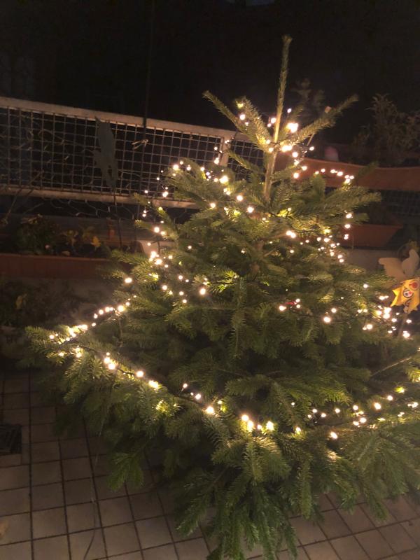 Weihnachtsbaum Echte Nordmanntanne 125 150 Cm Hoch Gesagt Kaufen Bei Obi