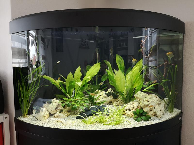 How To Cool Down Fish Tank