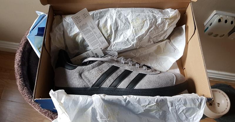 black and grey gazelles