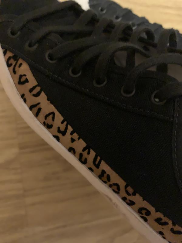 sasha ox converse