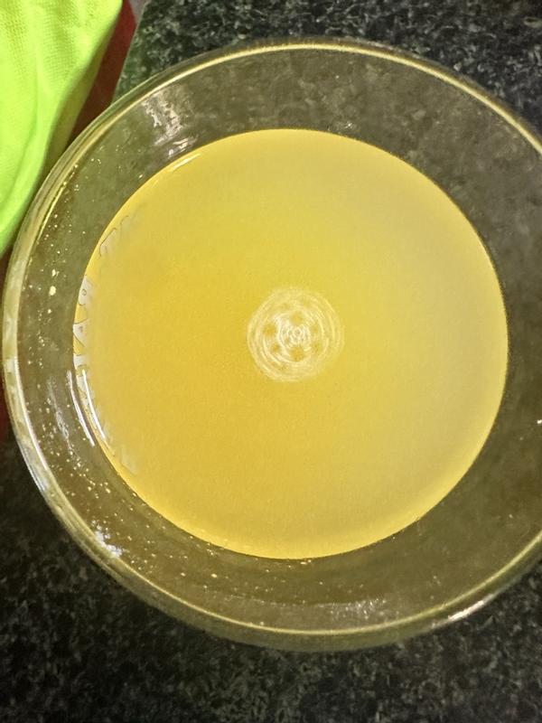 Photo submitted with review of product