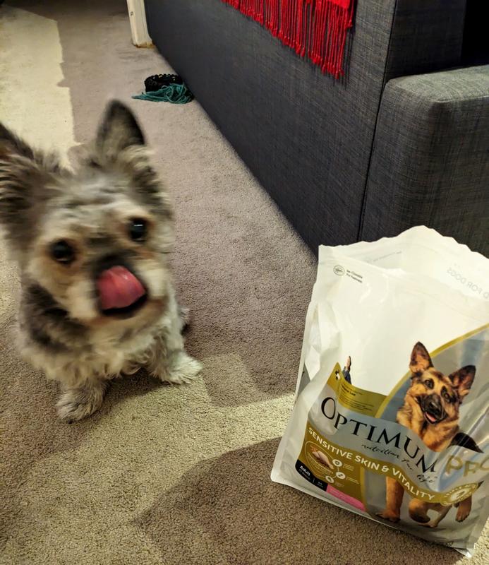 Big w best sale optimum dog food