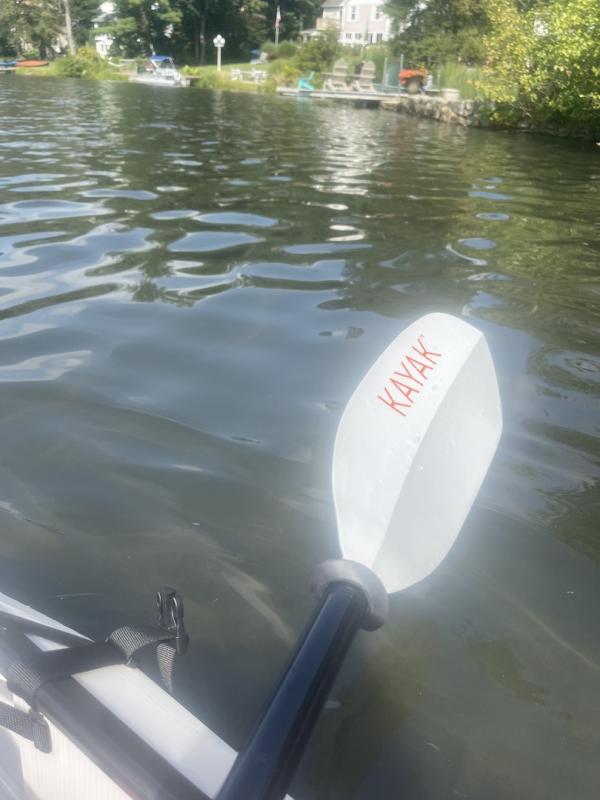 Photo submitted with review of product