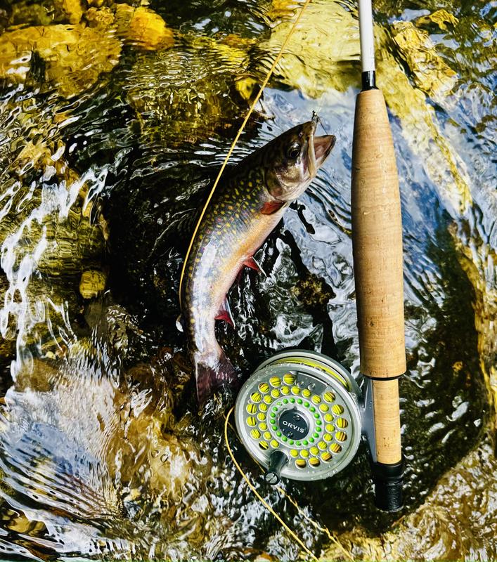 Superfine Graphite Fly Rods | Orvis