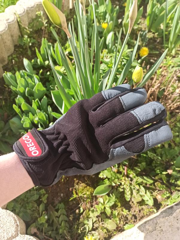 Ouvrir la fenêtre modale de l'avis 2 sur 2