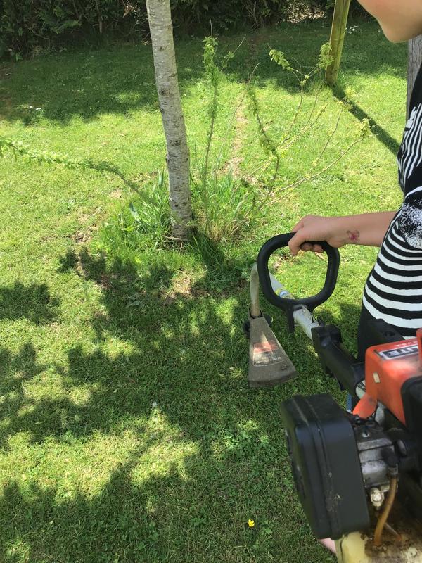 Ouvrir la fenêtre modale de l'avis 3 sur 3