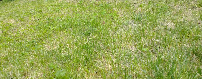 Ouvrir la fenêtre modale de l'avis 2 sur 2