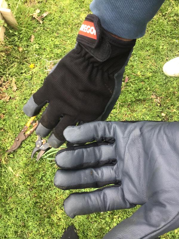 Ouvrir la fenêtre modale de l'avis 2 sur 3