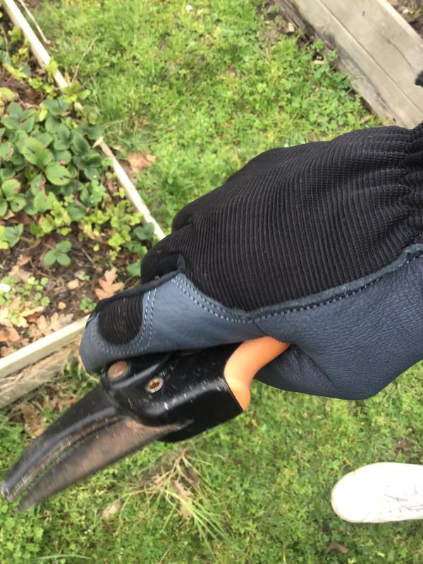 Ouvrir la fenêtre modale de l'avis 3 sur 3