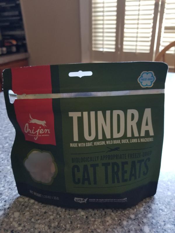 Impressive cat treats