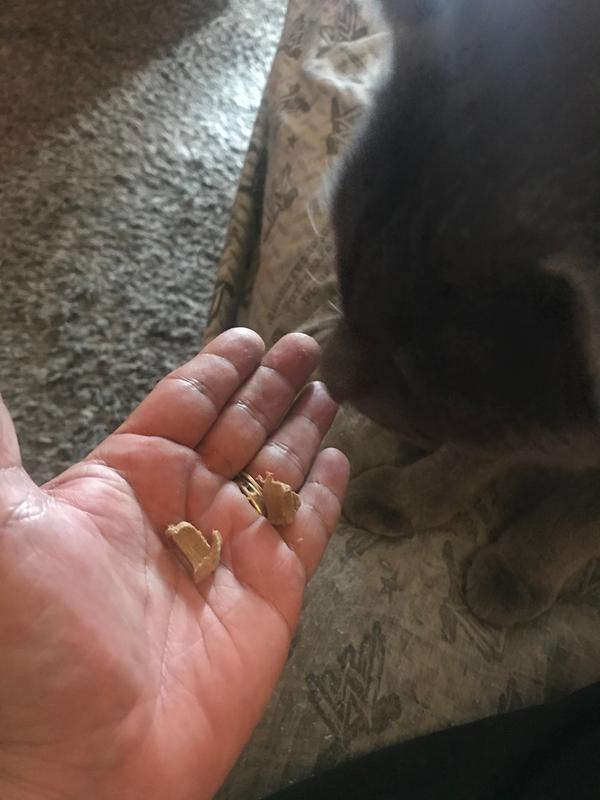 They come in different shapes and sizes!