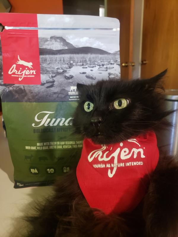 The bandana made her wary but she loves this food.