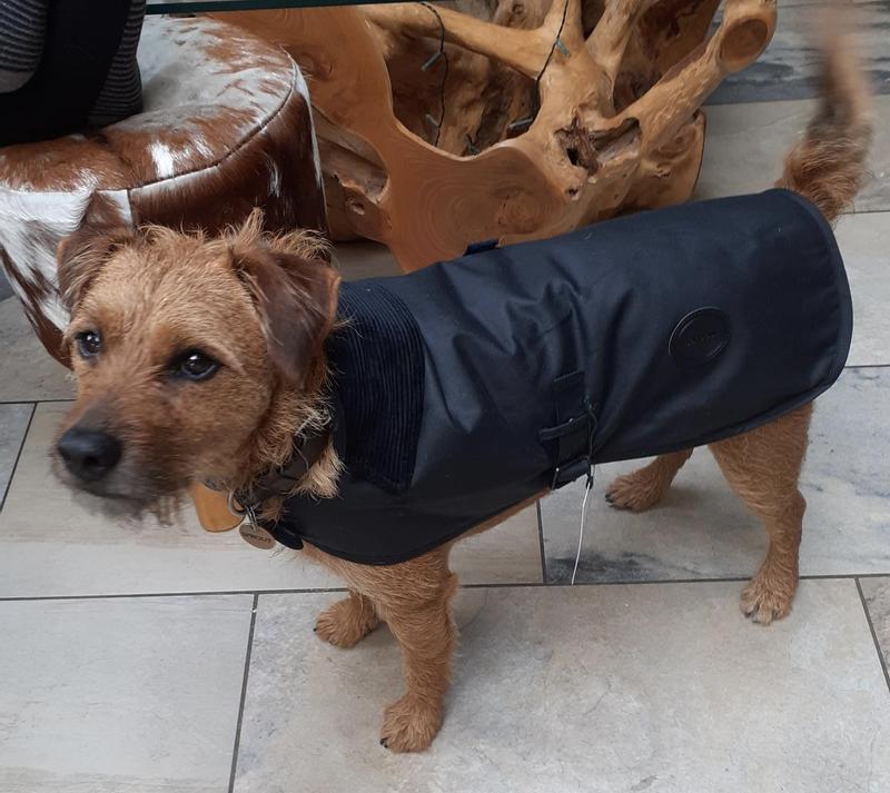 Barbour packaway store dog coat