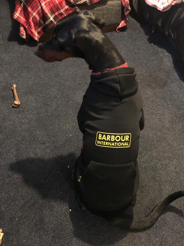 Barbour International Hooded Dog Coat