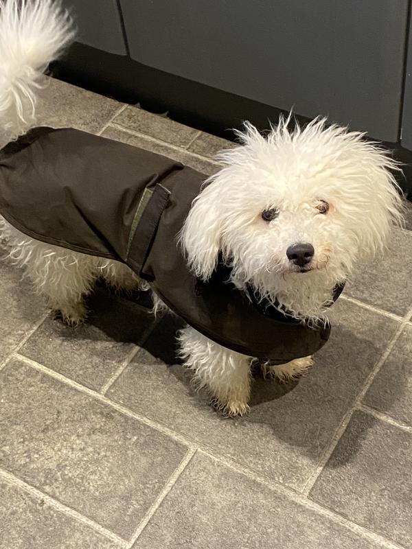 Barbour Quilted Dog Wax Jacket Barbour Dog Coat Olive Green Waxed