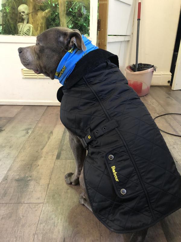 Barbour Polar Dog Coat