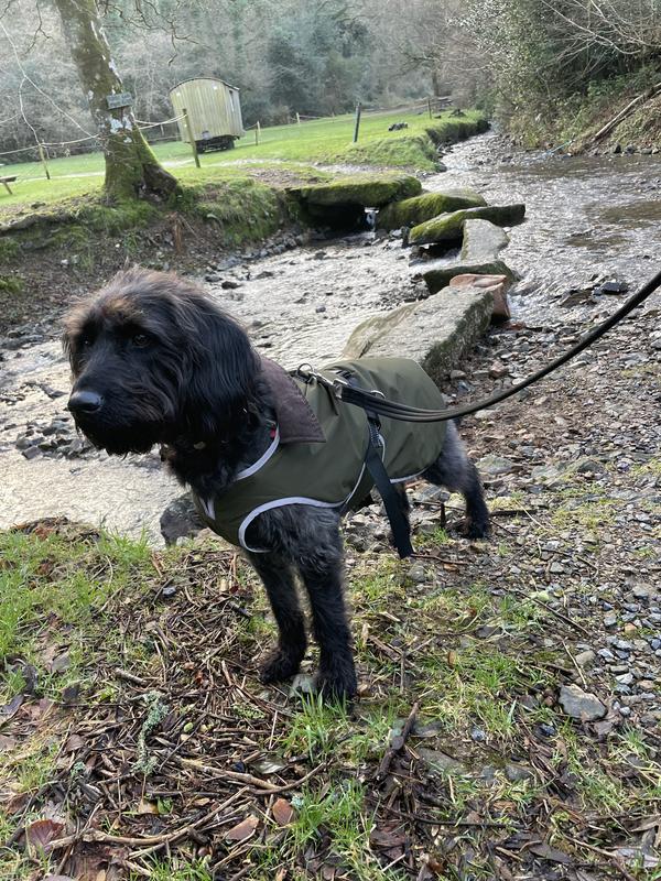 Barbour dog coat with harness hole online