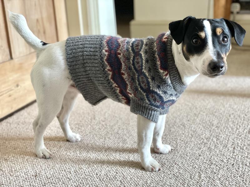 Fair isle shop dog sweater