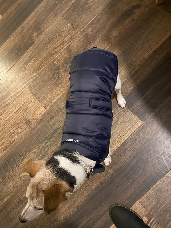 Barbour baffle quilted dog hot sale coat