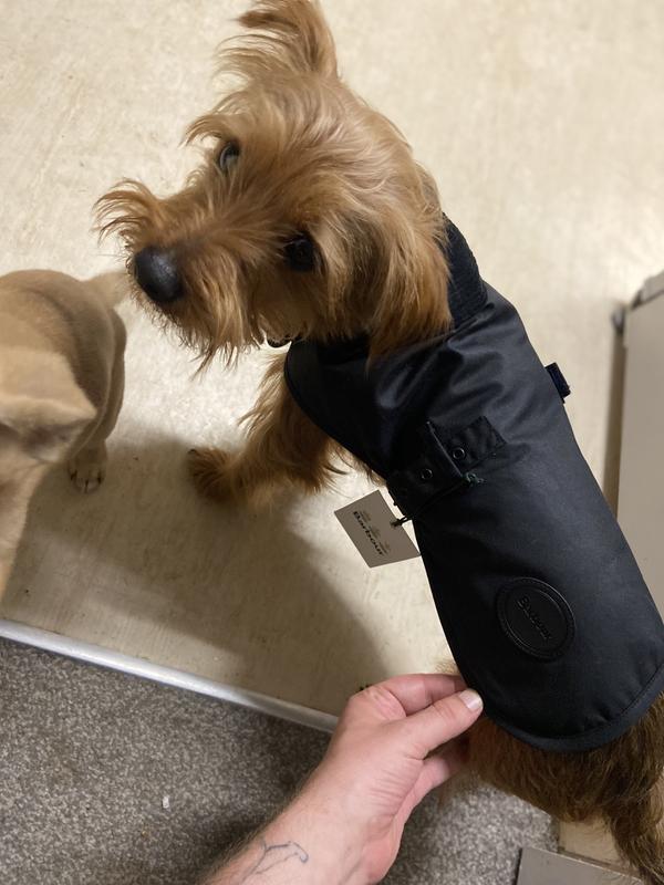 Barbour dog best sale jacket sizing