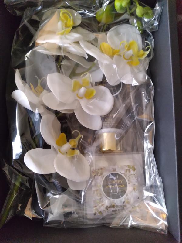 Review Thumbnail Image 1 210013883