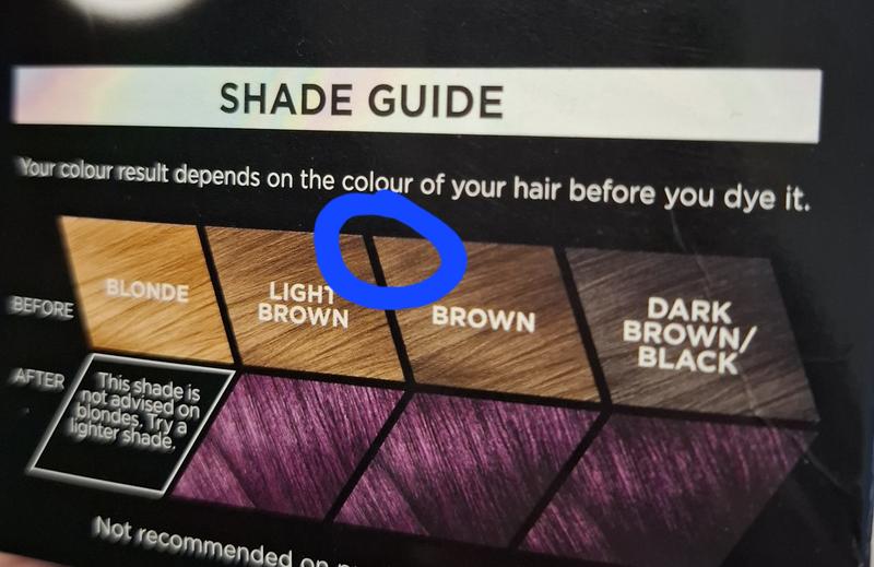 Where my hair was before dyeing and the supposed colour result I should have