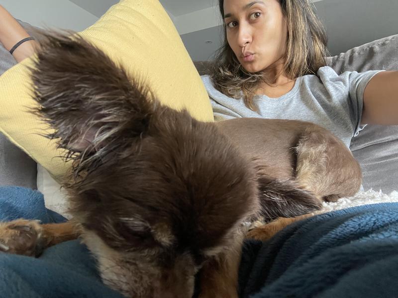 Pre-dye with blonde streaks and my old pup Zeus