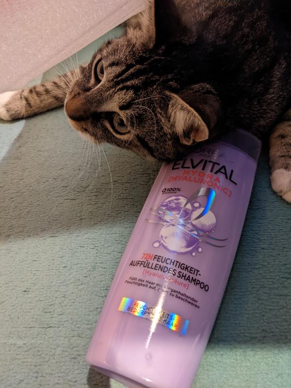 Loreal Shampoo