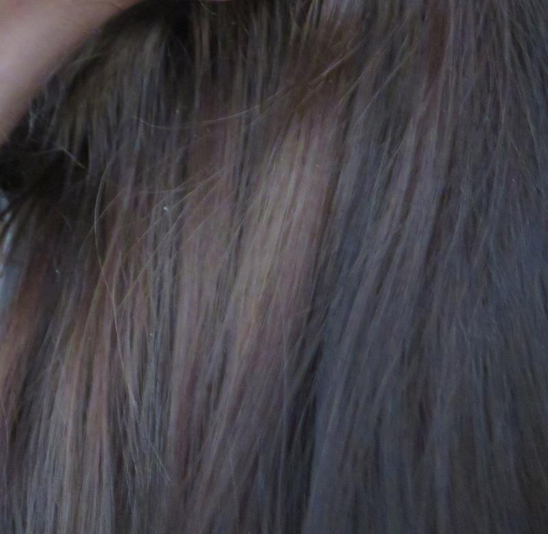 Haare Nachher