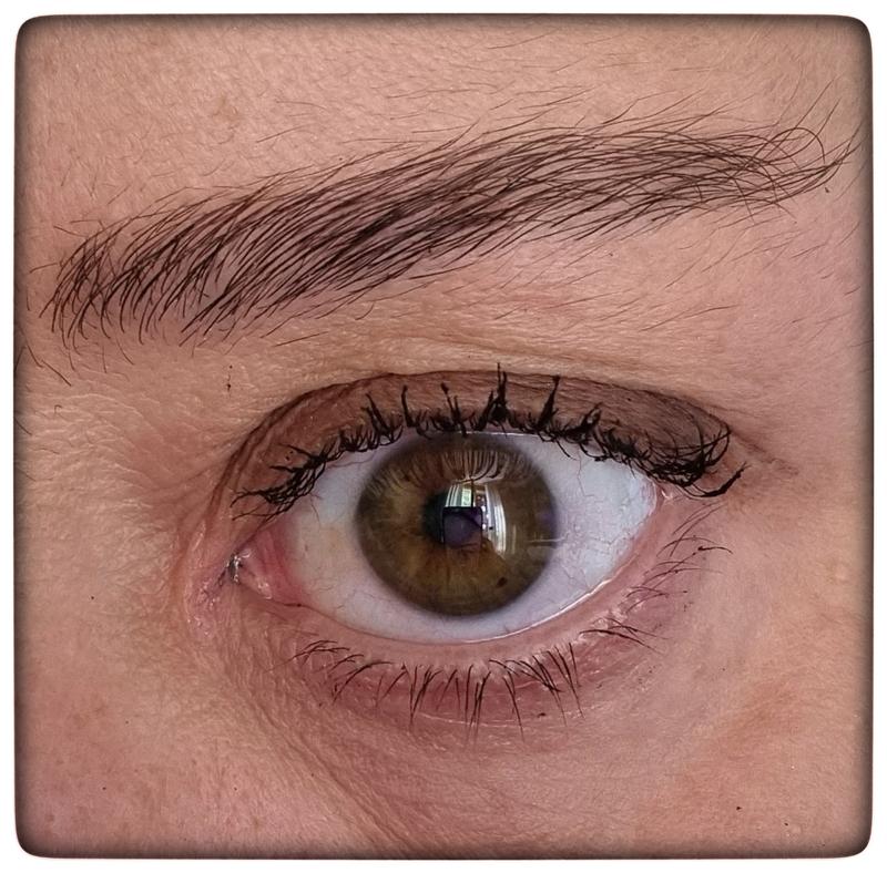 L'Oreal Lash Paradise Mascara