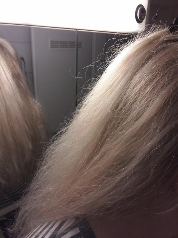 Avis sur la photo 1.