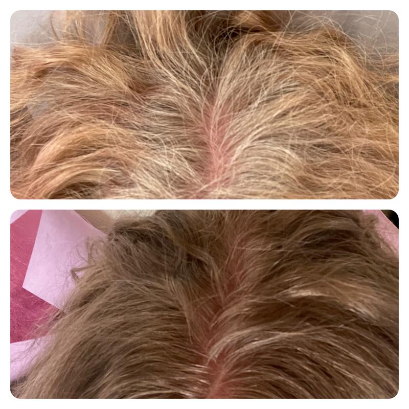 7.1 Hamburg kahles Mittelblond