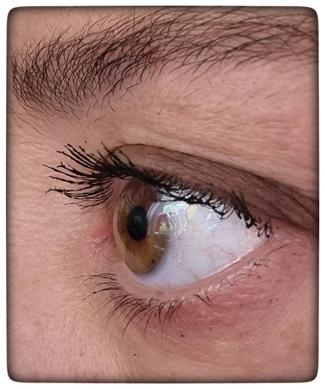 L'Oreal Lash Paradise Mascara