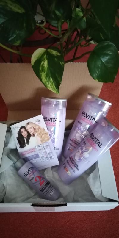 mein Testpaket