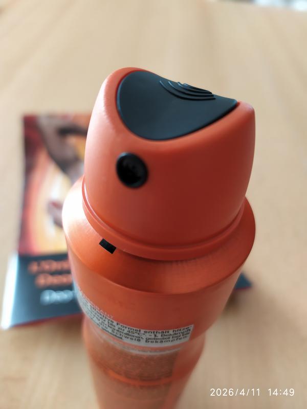 Der Spraykopf