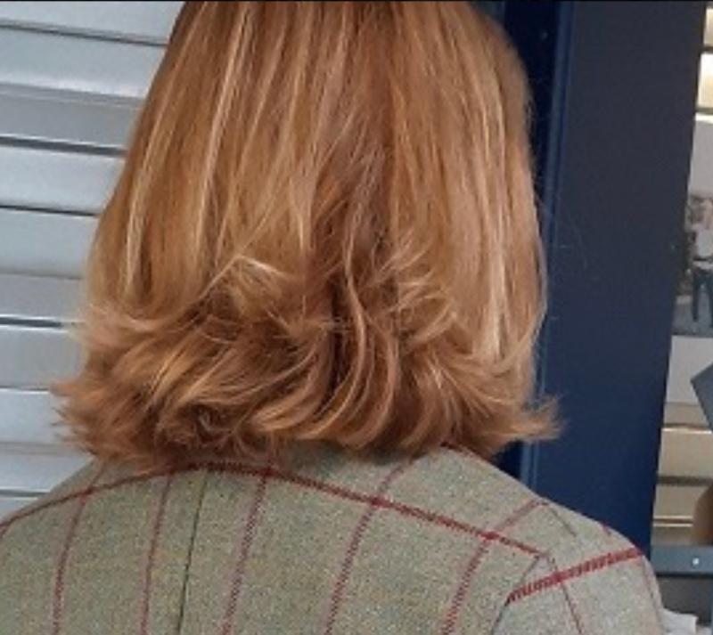 Haar kleur voor gebruik product